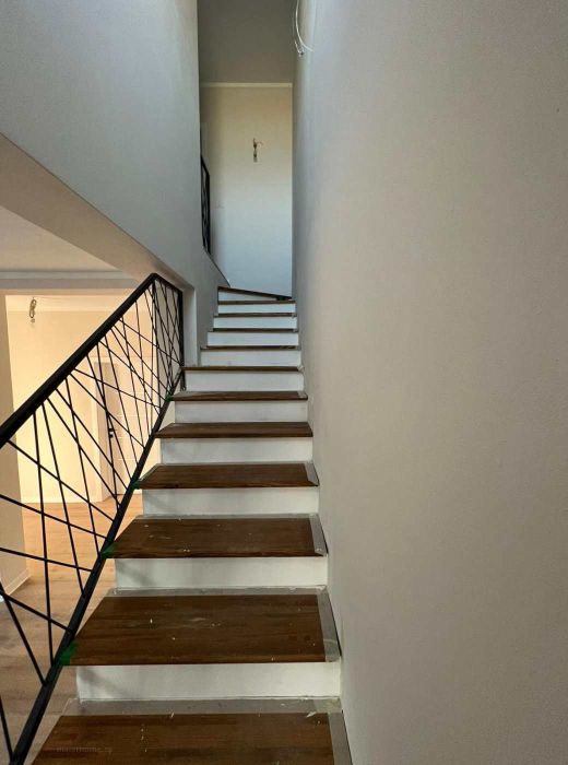 Maier Home Concept Timis